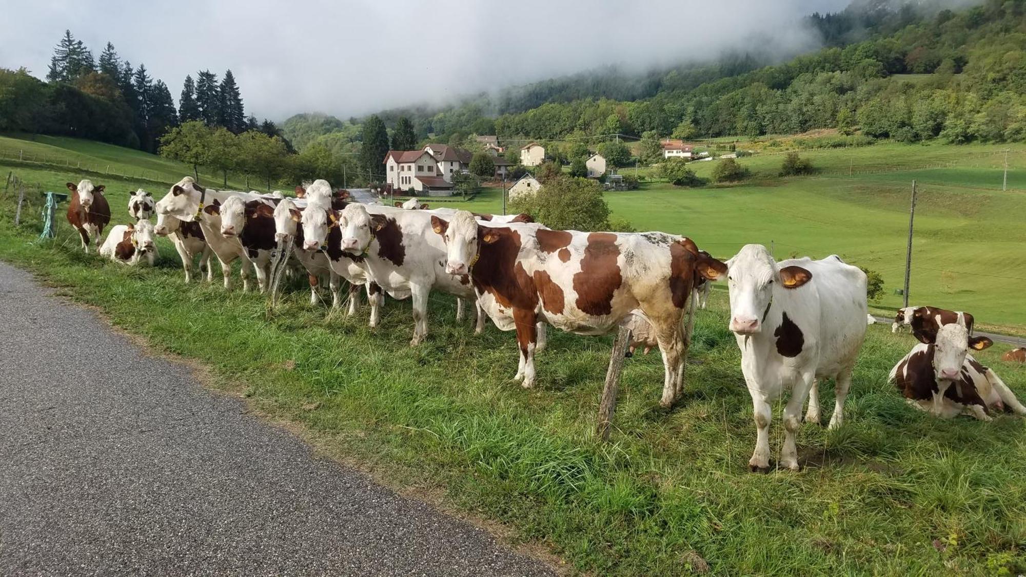 Un Pied Devant L'Autre Sainte-Marie-D'Alvey ภายนอก รูปภาพ